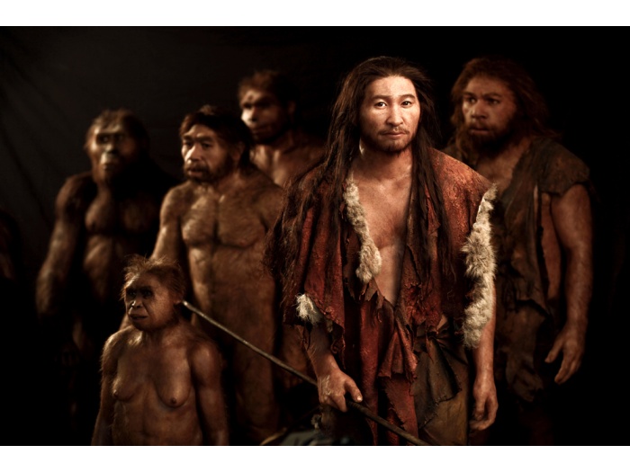 Great march to human evolution - Jeongok Prehistory Museum ... Great march to human evolution - Jeongok Prehistory Museum ...